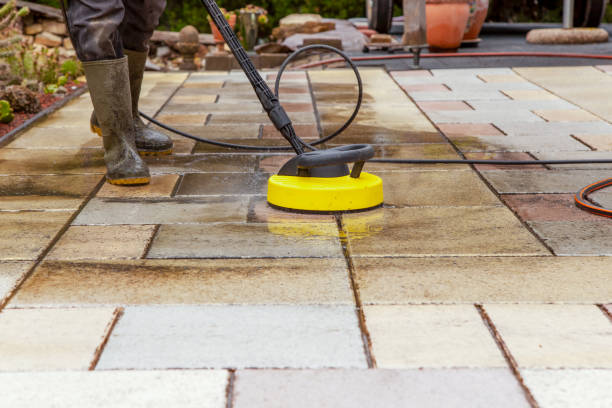 Best Animal Enclosure Cleaning  in Buxton, NC
